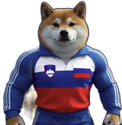 Slovenian Inu — Shiba in a Slovenian tracksuit